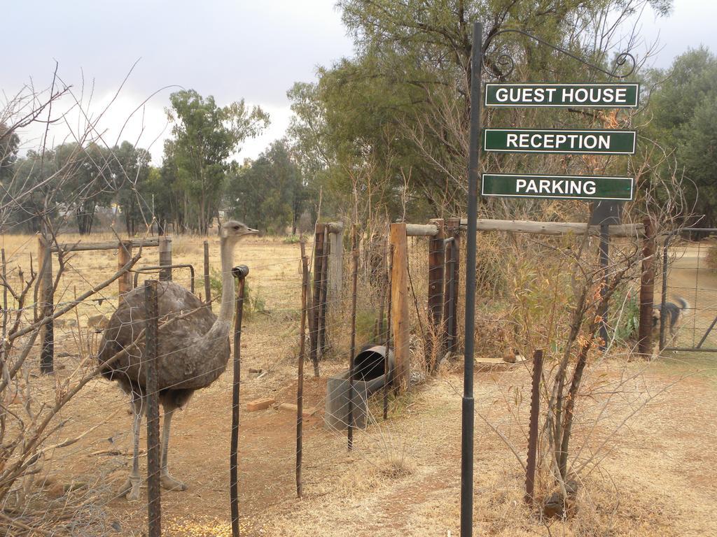 Olive Hill Country Lodge Bloemfontein Buitenkant foto