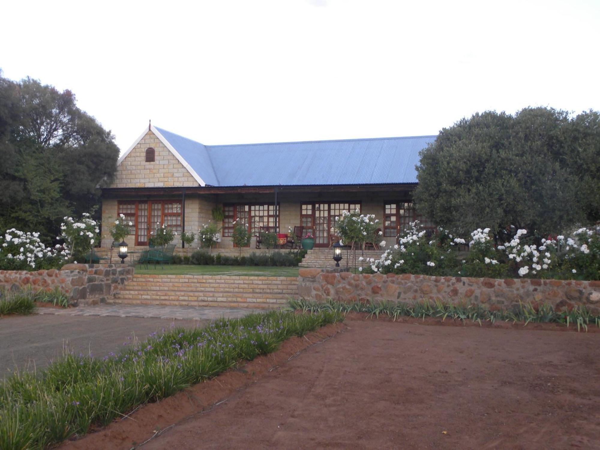 Olive Hill Country Lodge Bloemfontein Buitenkant foto